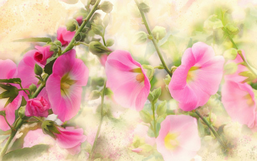 1183050 (a): :2880x1800